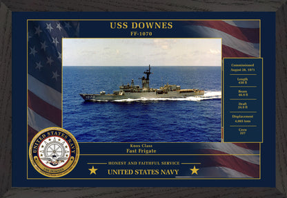 USS Downes FF-1070 Framed Patriotic Photo