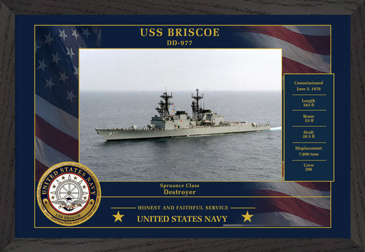 USS Briscoe DD-977 Framed Patriotic Photo