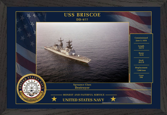 USS Briscoe DD-977 Framed Patriotic Photo