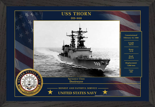 USS Thorn DD-988 Framed Patriotic Photo