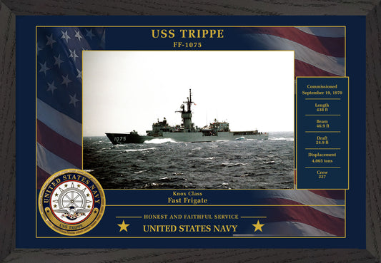 USS Trippe FF-1075 Framed Patriotic Photo