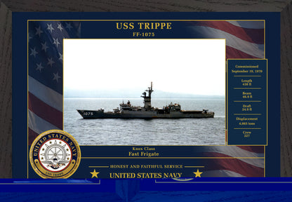 USS Trippe FF-1075 Framed Patriotic Photo