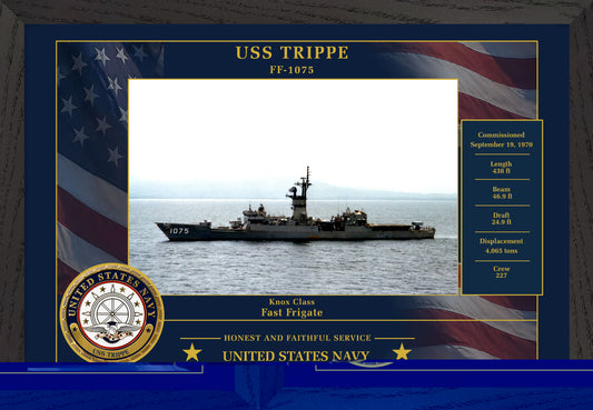 USS Trippe FF-1075 Framed Patriotic Photo