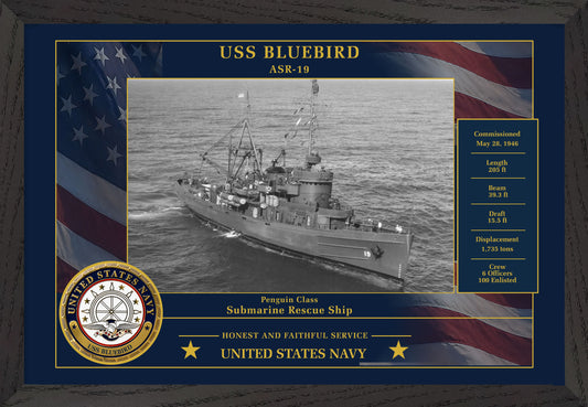 USS Bluebird ASR-19 Framed Patriotic Photo