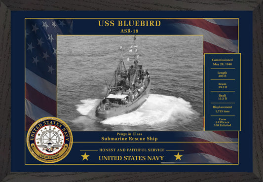 USS Bluebird ASR-19 Framed Patriotic Photo