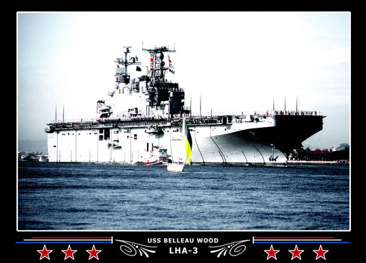 USS Belleau Wood LHA3 Canvas Photo Print
