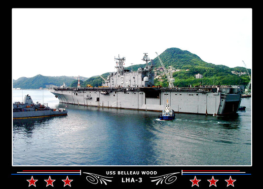 USS Belleau Wood LHA3 Canvas Photo Print