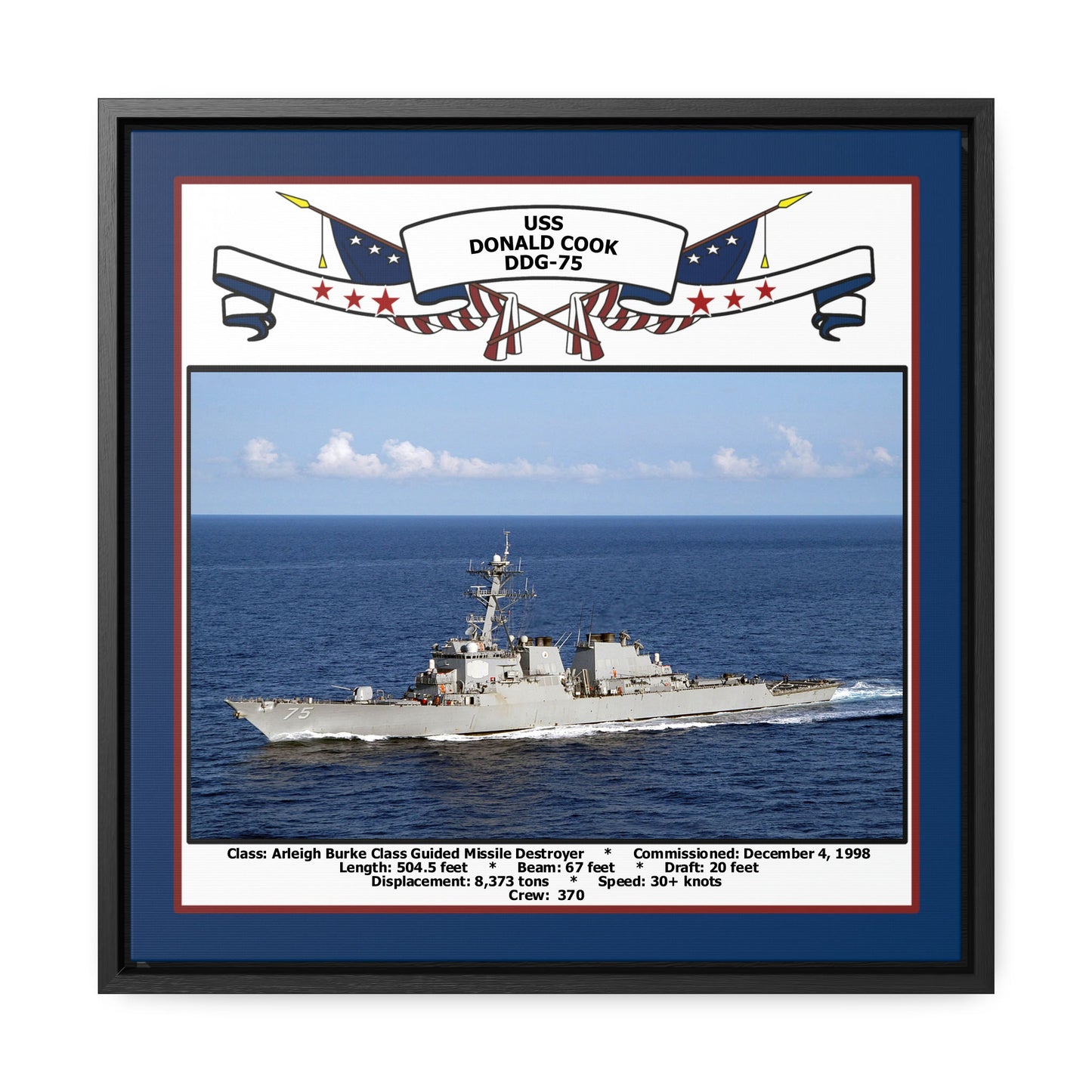 USS Donald Cook DDG-75 Navy Floating Frame Photo Front View