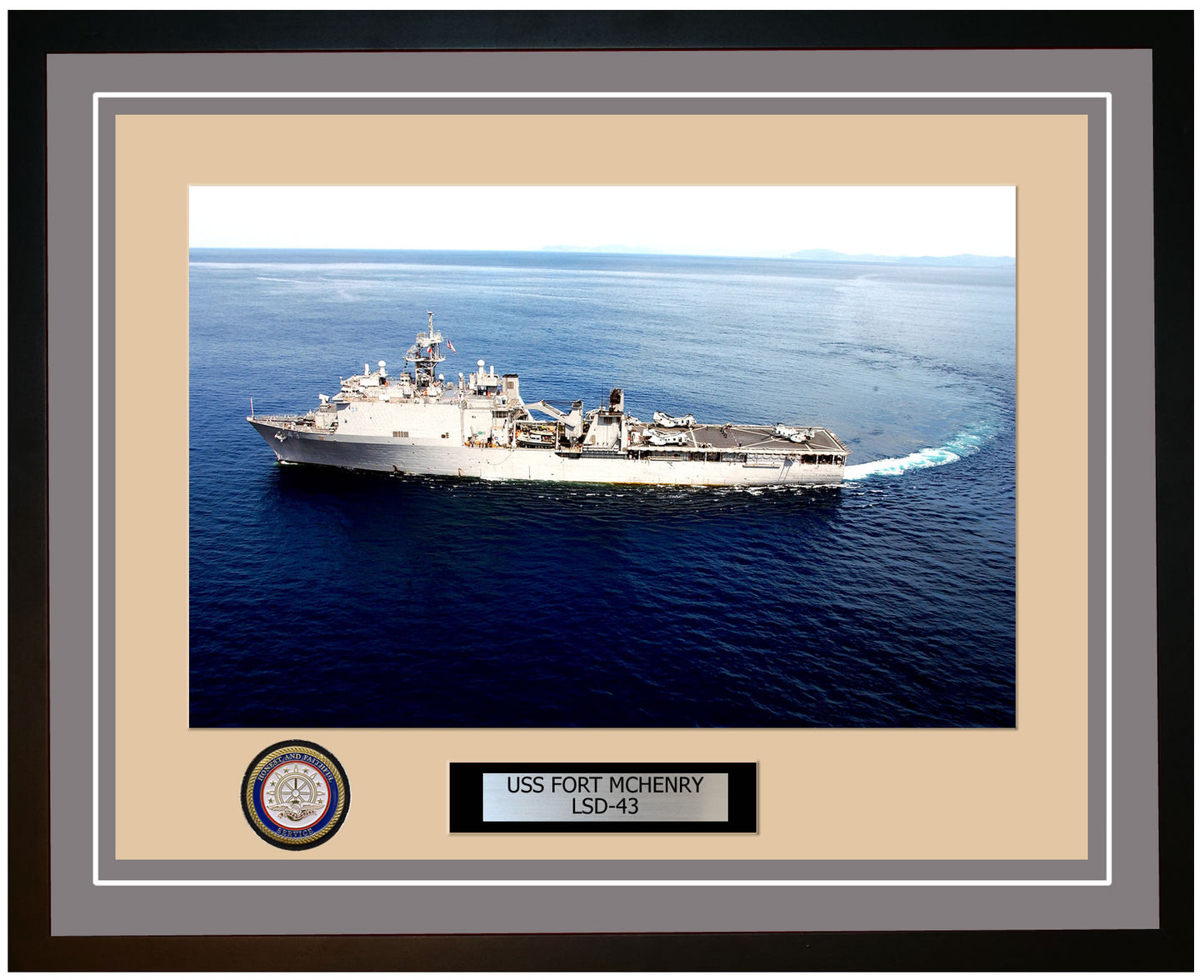 USS Fort McHenry LSD-43 Framed Navy Ship Photo Grey