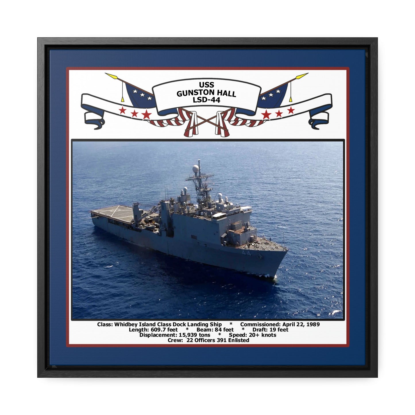 USS Gunston Hall LSD-44 Navy Floating Frame Photo Front View