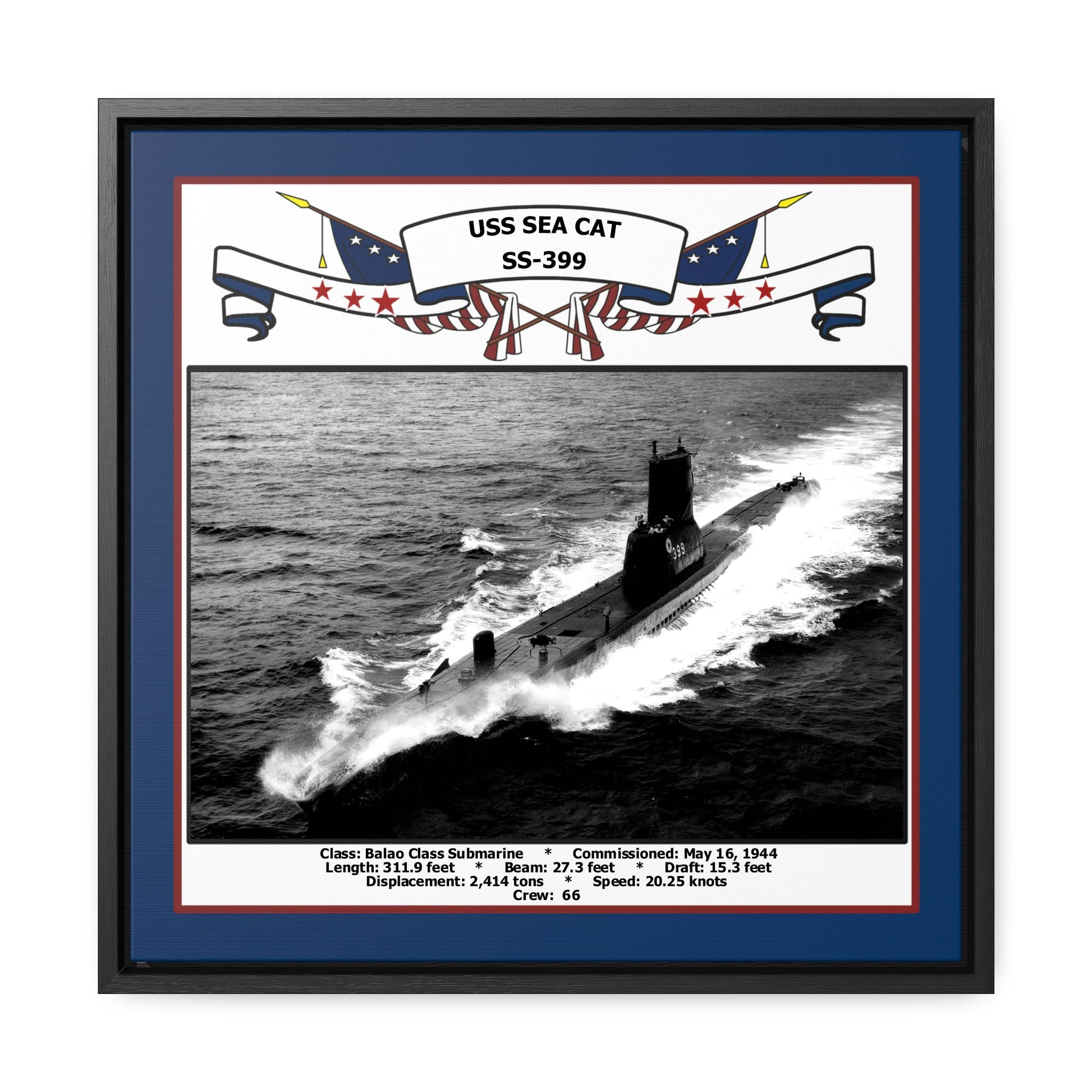 USS Sea Cat SS-399 Navy Floating Frame Photo Front View