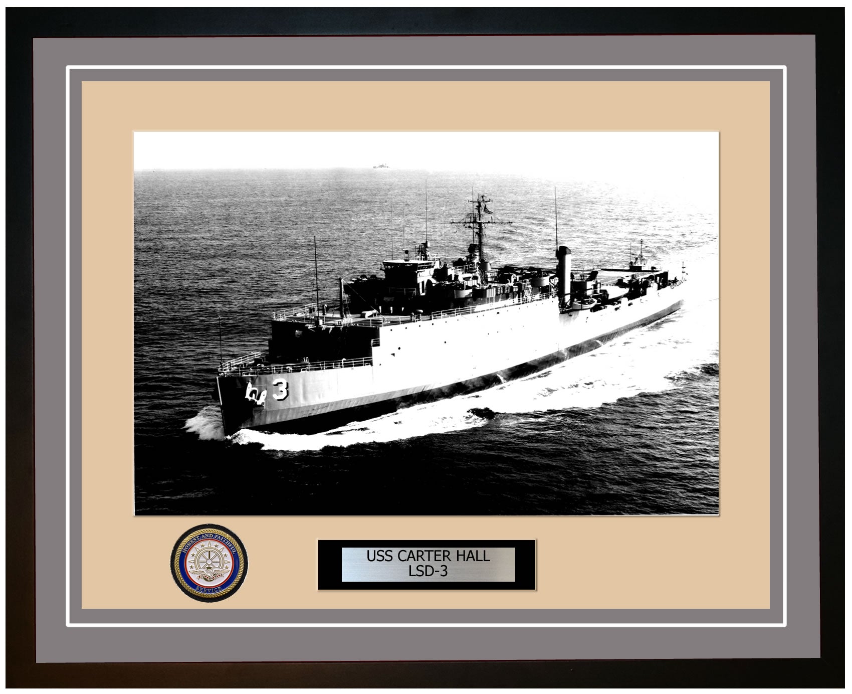 USS Carter Hall LSD-3 Framed Navy Ship Photo Grey