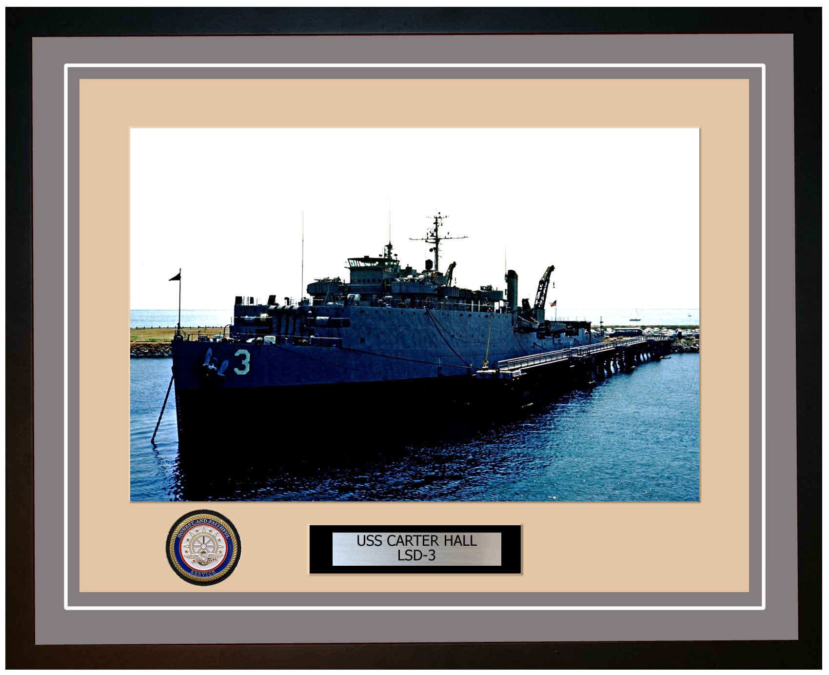 USS Carter Hall LSD-3 Framed Navy Ship Photo Grey