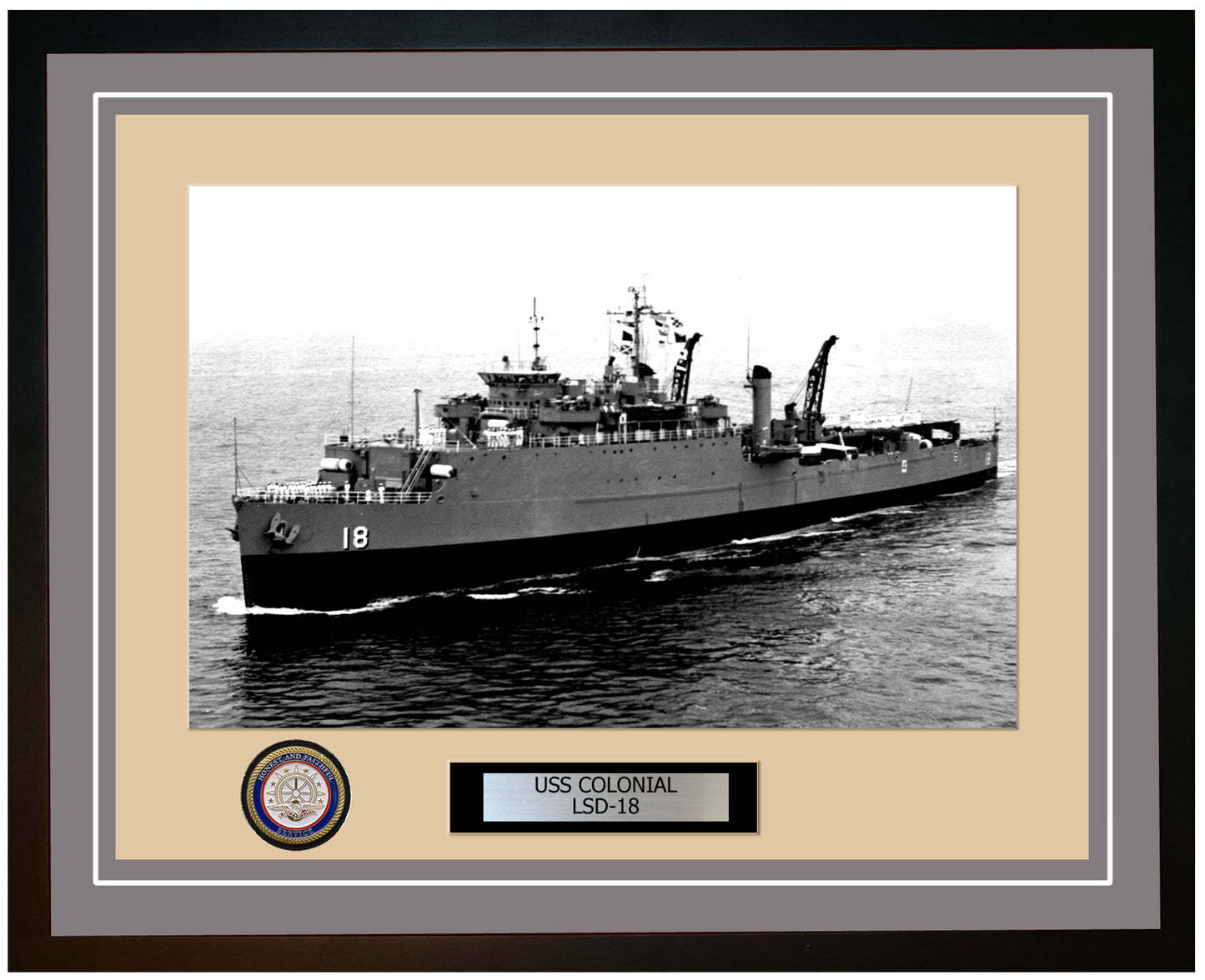 USS Colonial LSD-18 Framed Navy Ship Photo Grey