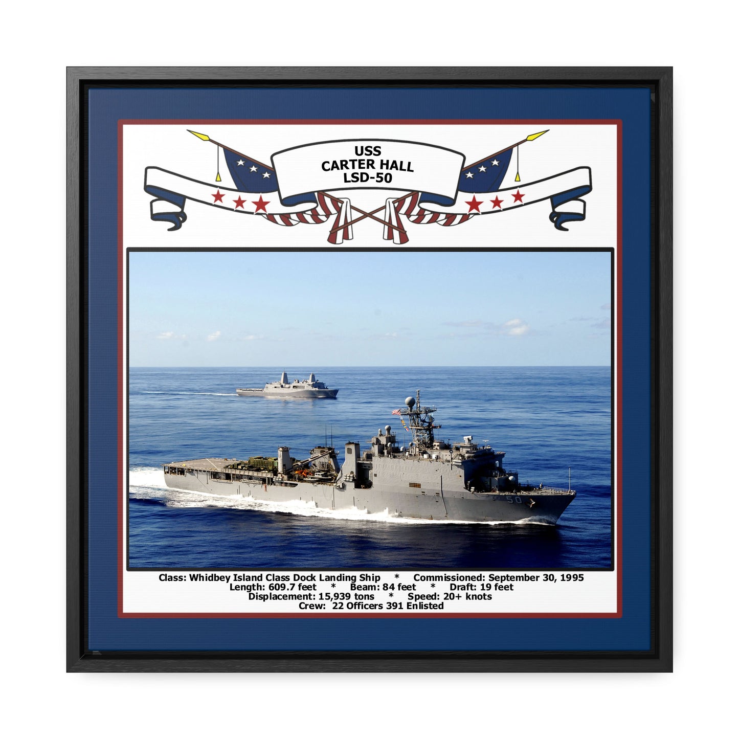 USS Carter Hall LSD-50 Navy Floating Frame Photo Front View
