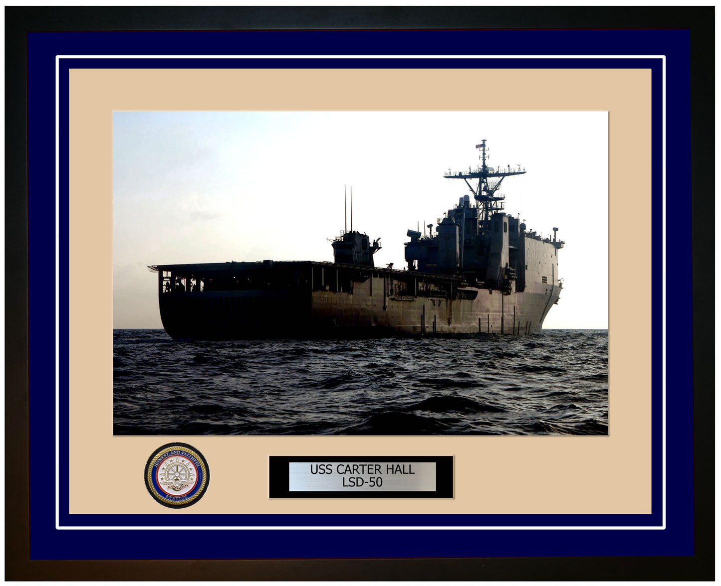 USS Carter Hall LSD-50 Framed Navy Ship Photo Blue