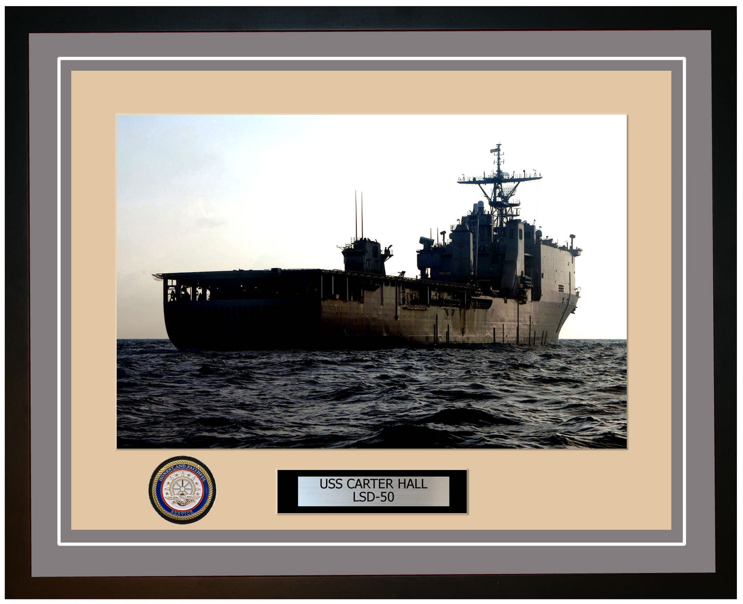 USS Carter Hall LSD-50 Framed Navy Ship Photo Grey