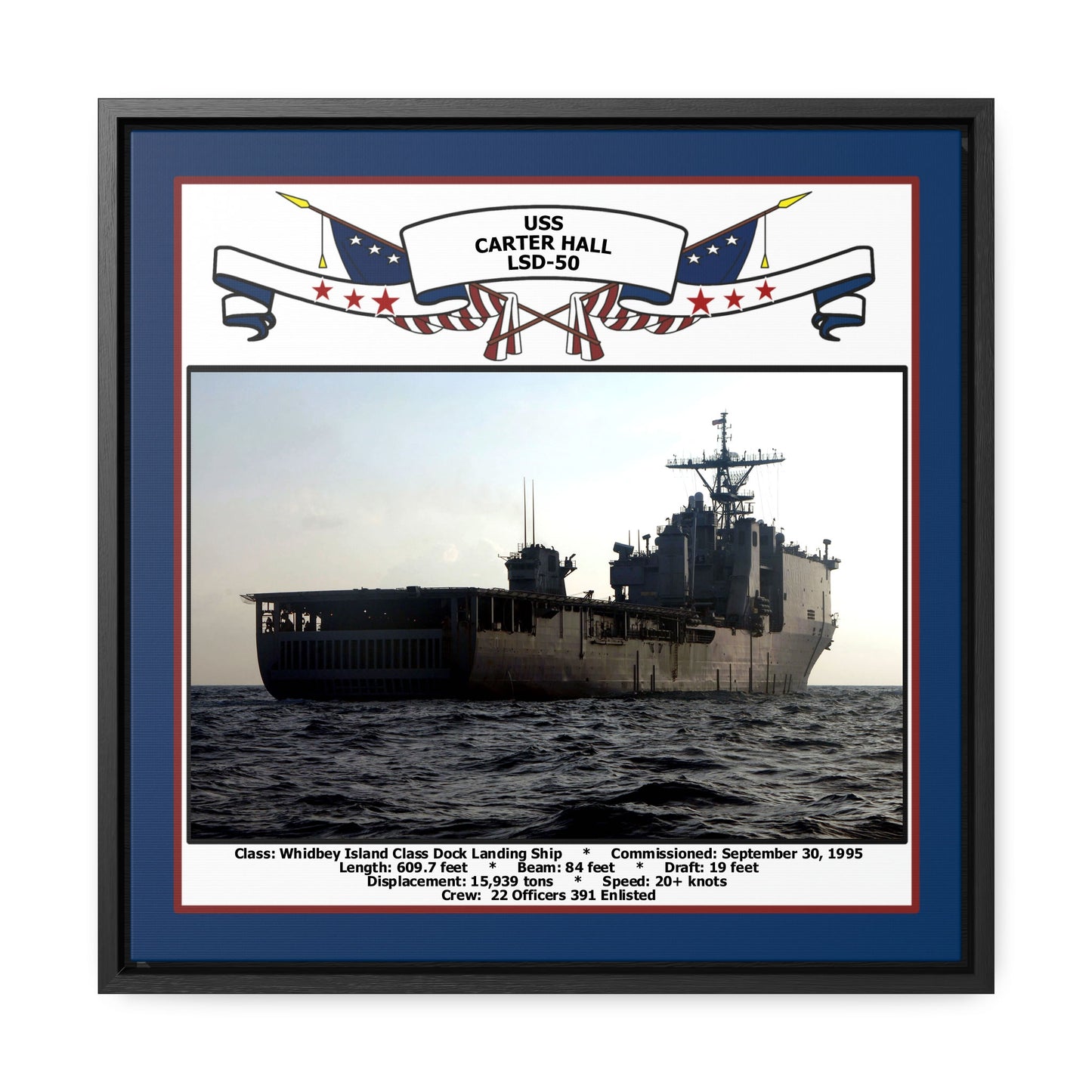 USS Carter Hall LSD-50 Navy Floating Frame Photo Front View