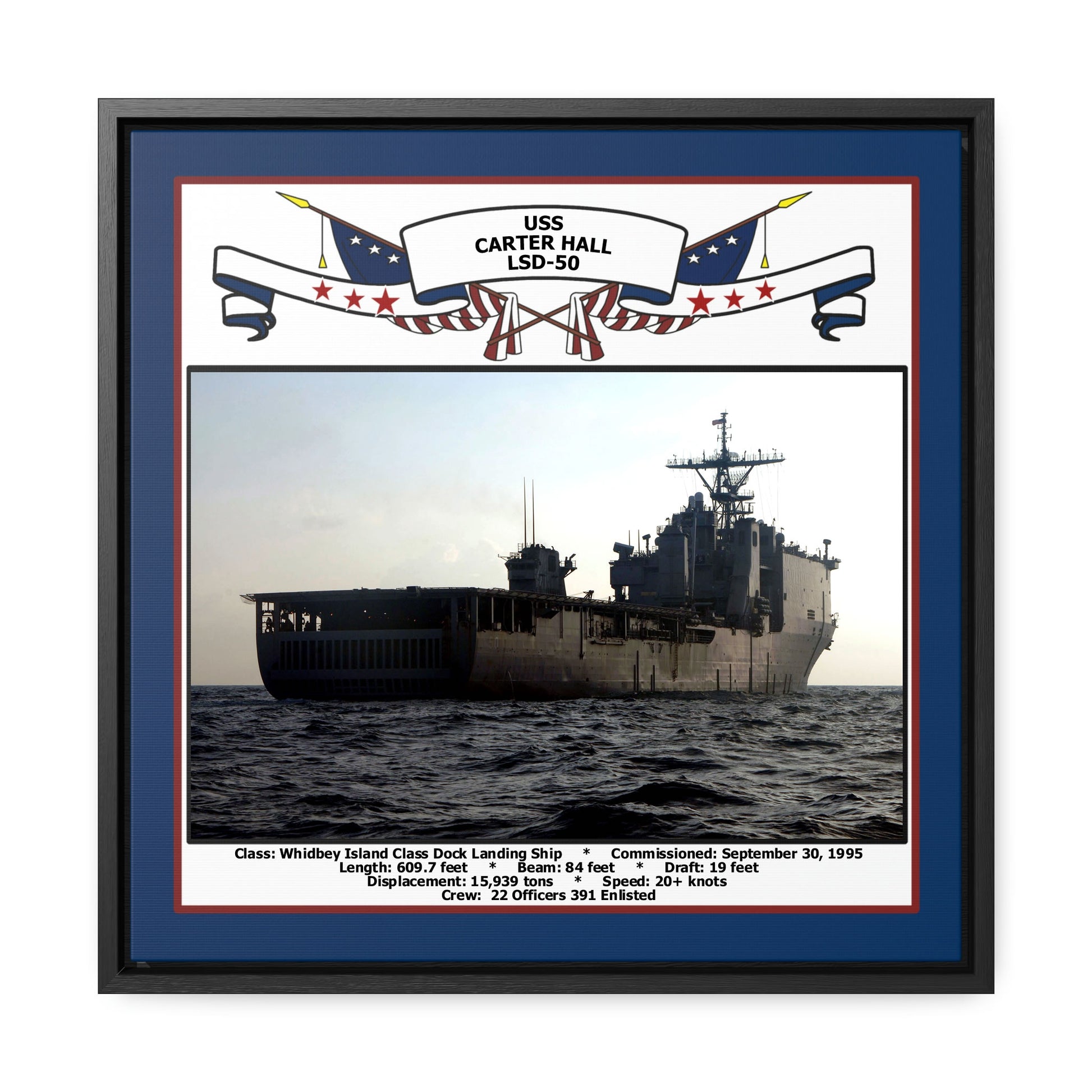 USS Carter Hall LSD-50 Navy Floating Frame Photo Front View