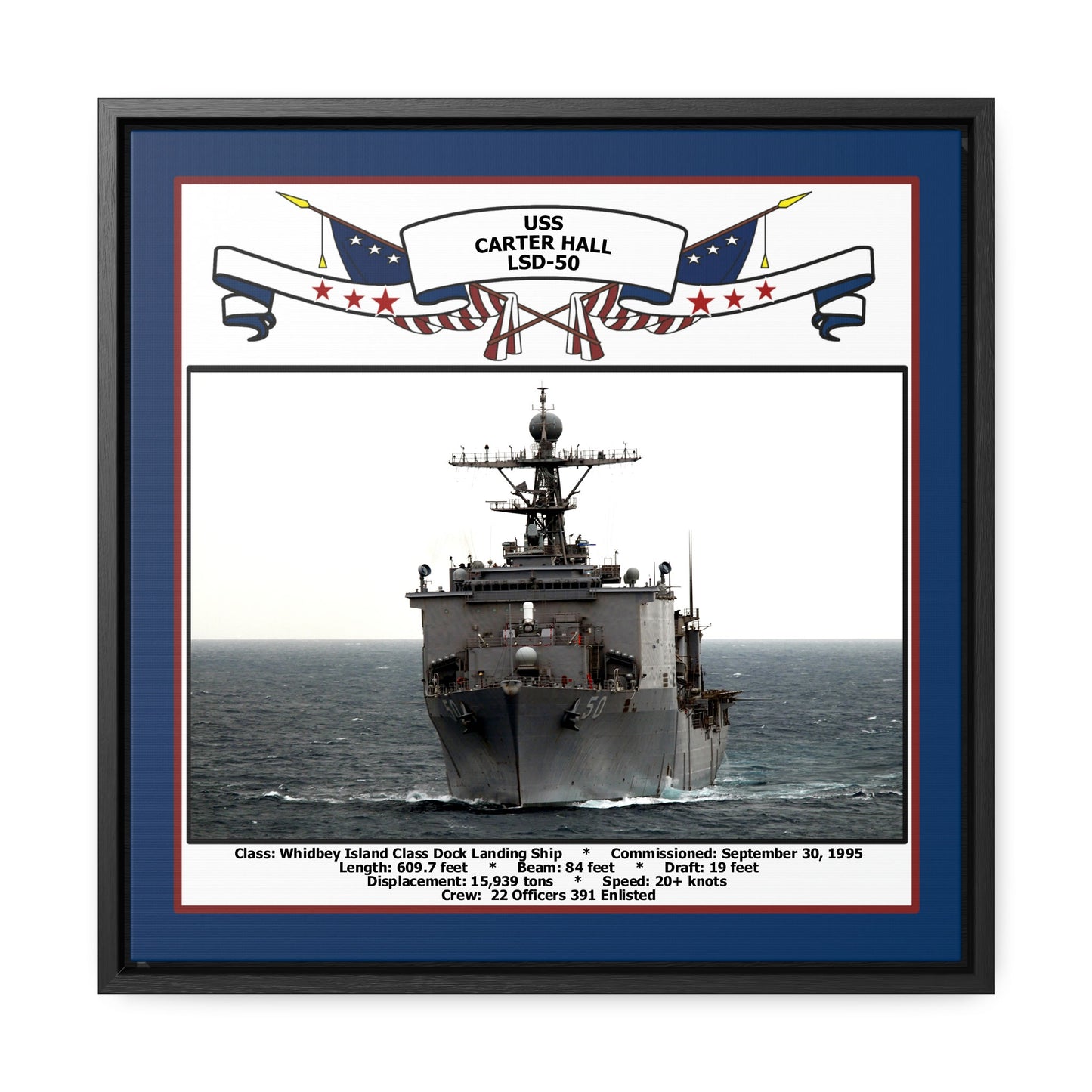 USS Carter Hall LSD-50 Navy Floating Frame Photo Front View