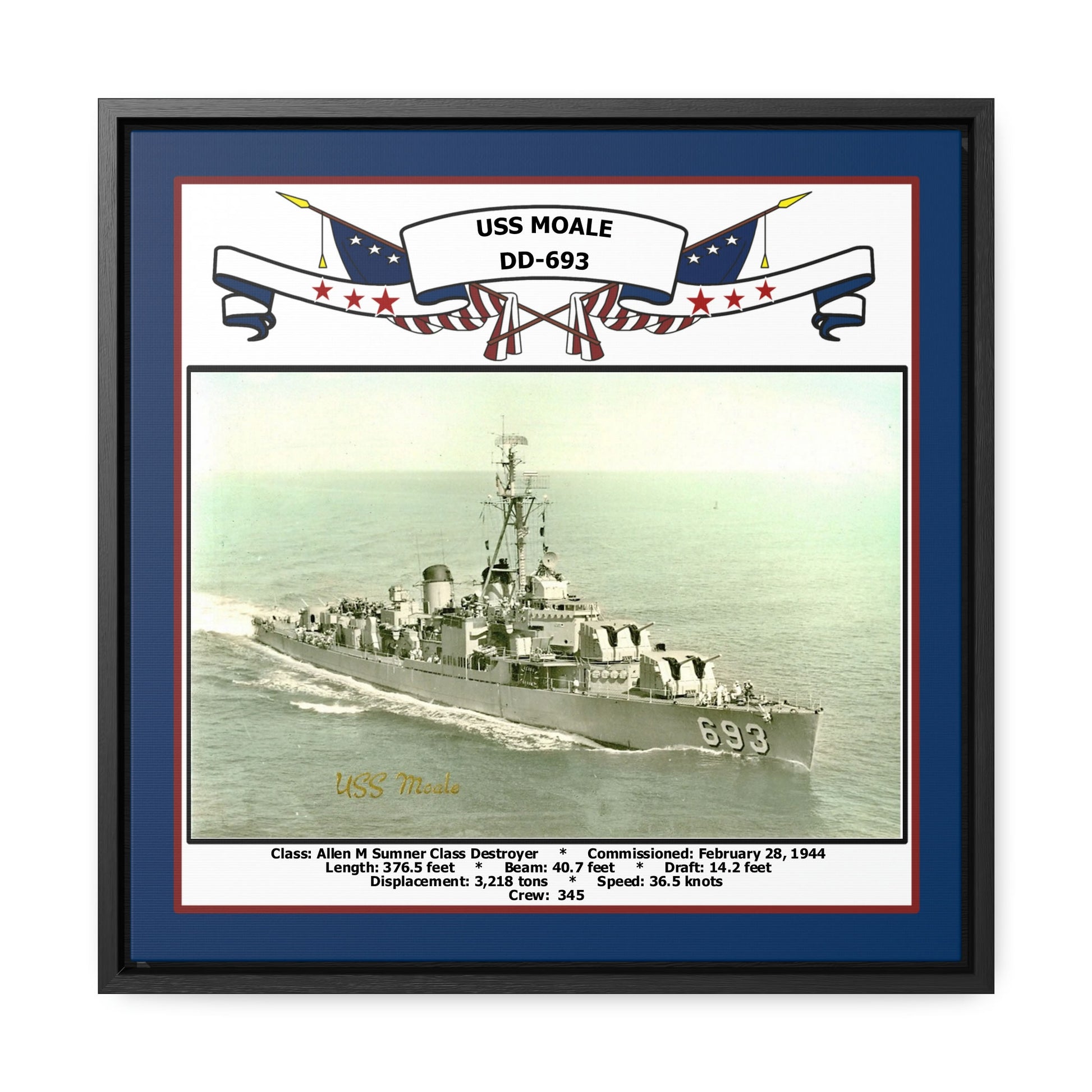 USS Moale DD-693 Navy Floating Frame Photo Front View