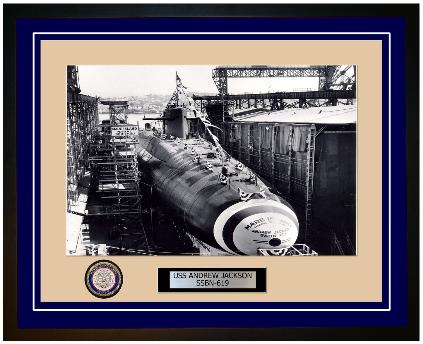 USS Andrew Jackson SSBN-619 Framed Navy Ship Photo Blue