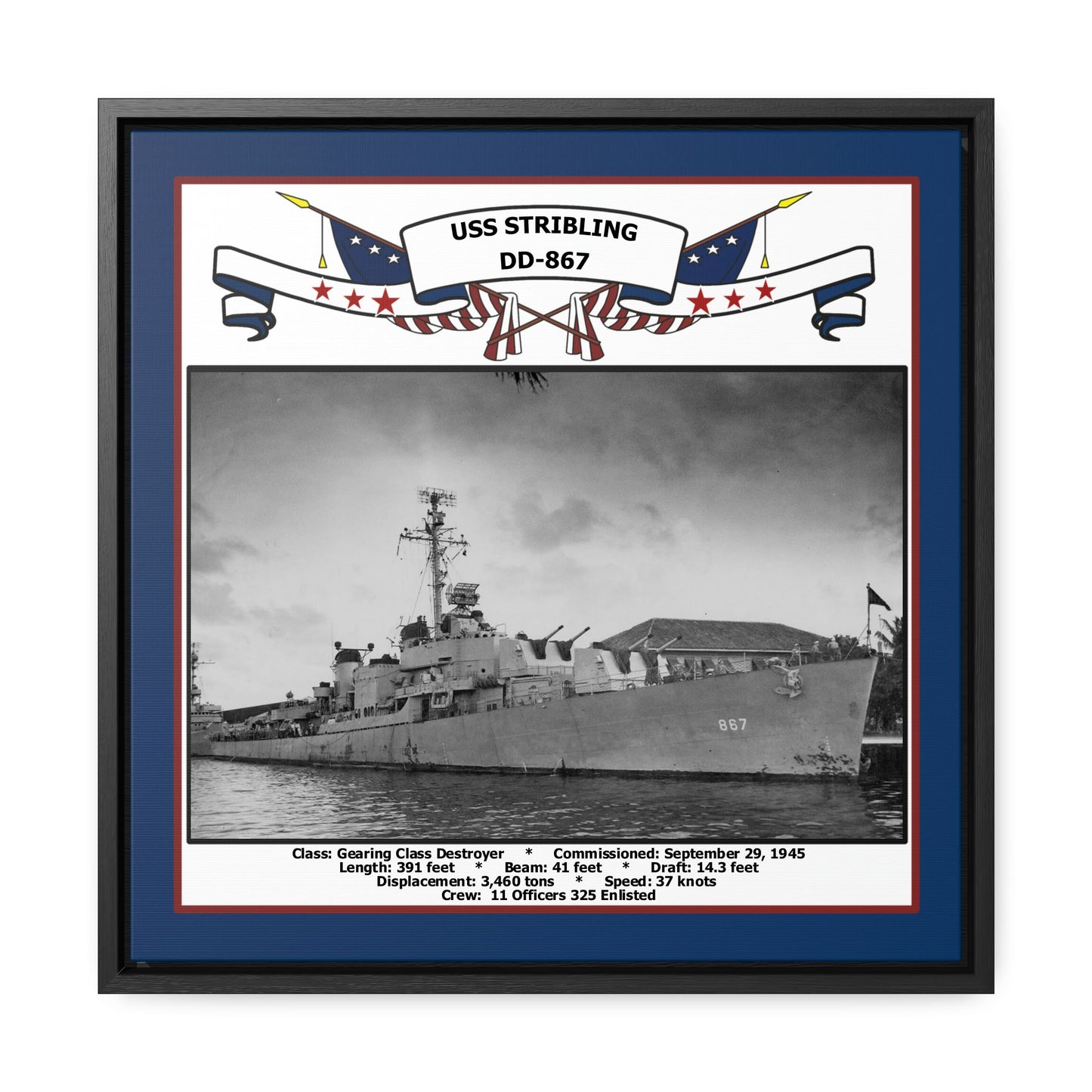 USS Stribling DD-867 Navy Floating Frame Photo Front View