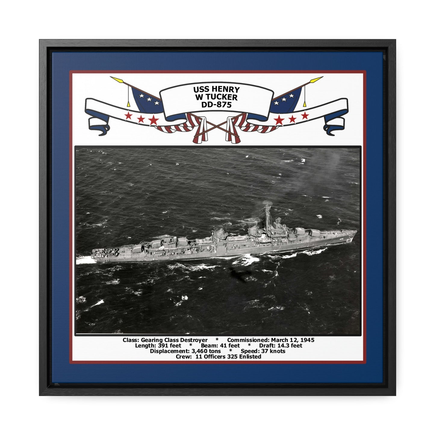 USS Henry W Tucker DD-875 Navy Floating Frame Photo Front View