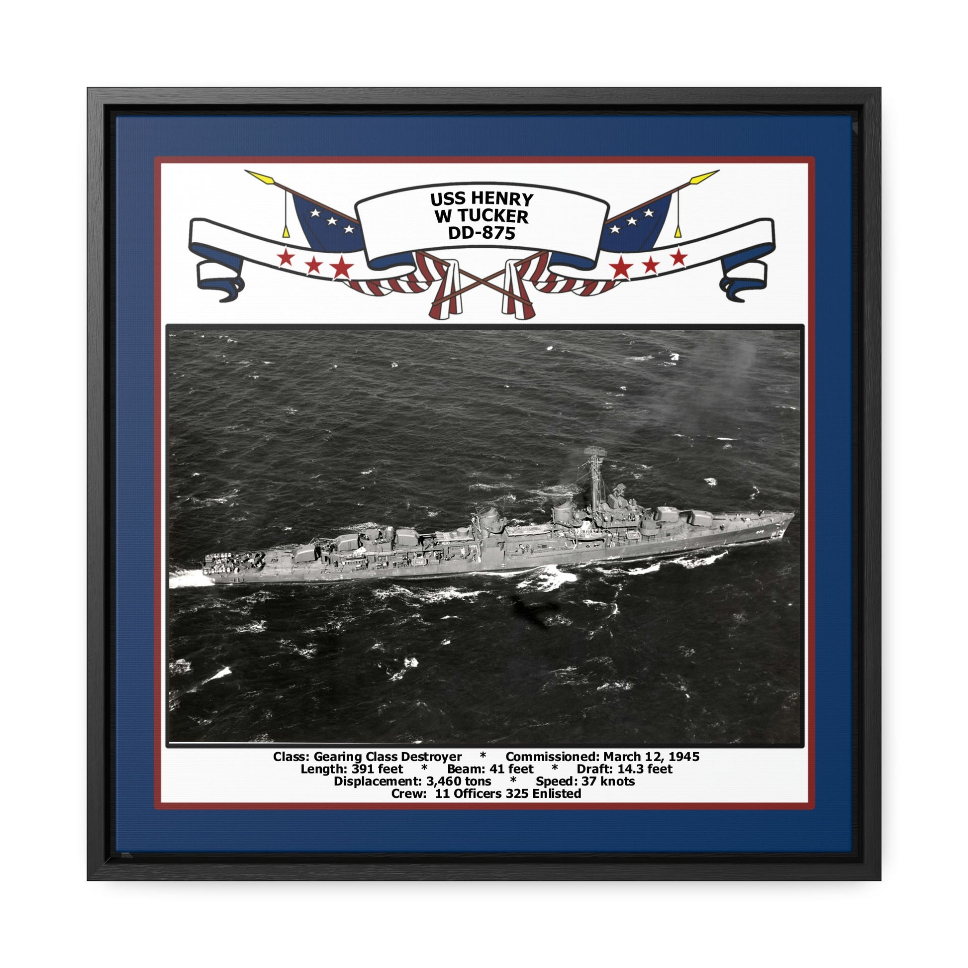 USS Henry W Tucker DD-875 Navy Floating Frame Photo Front View