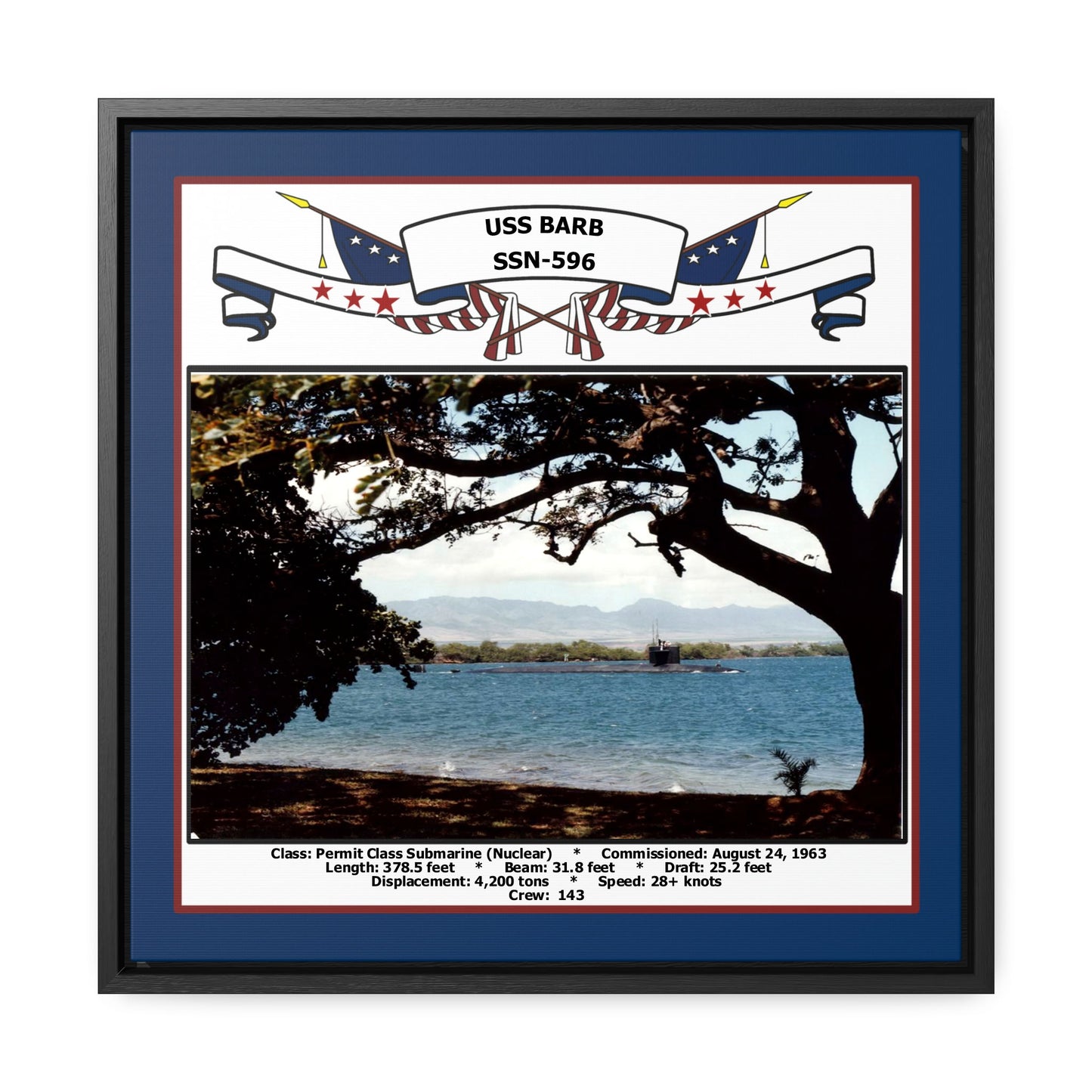 USS Barb SSN-596 Navy Floating Frame Photo Front View
