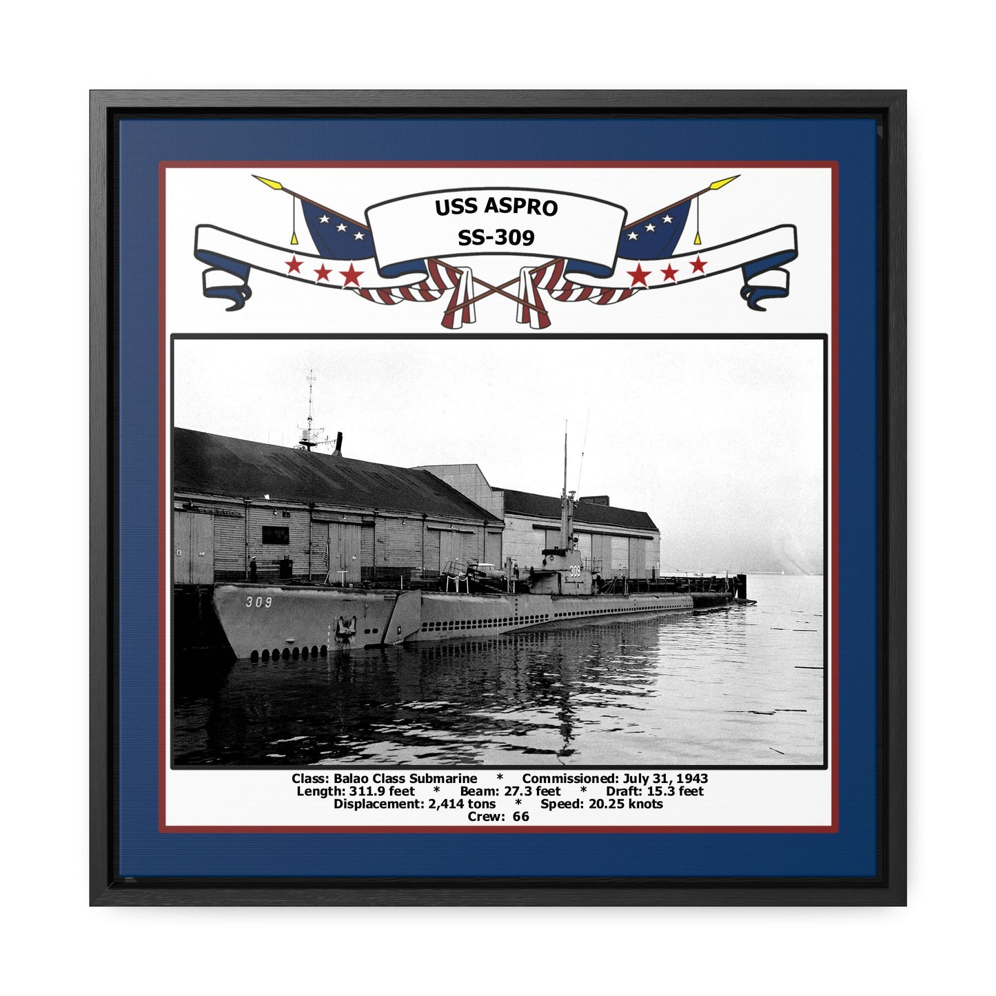 USS Aspro SS-309 Navy Floating Frame Photo Front View