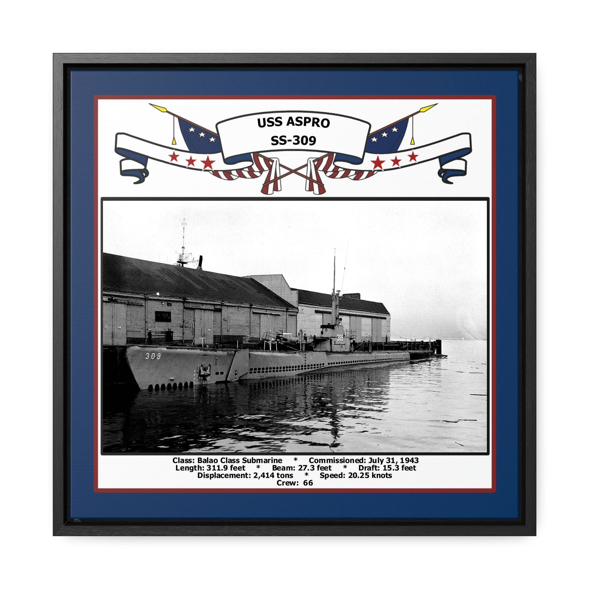USS Aspro SS-309 Navy Floating Frame Photo Front View