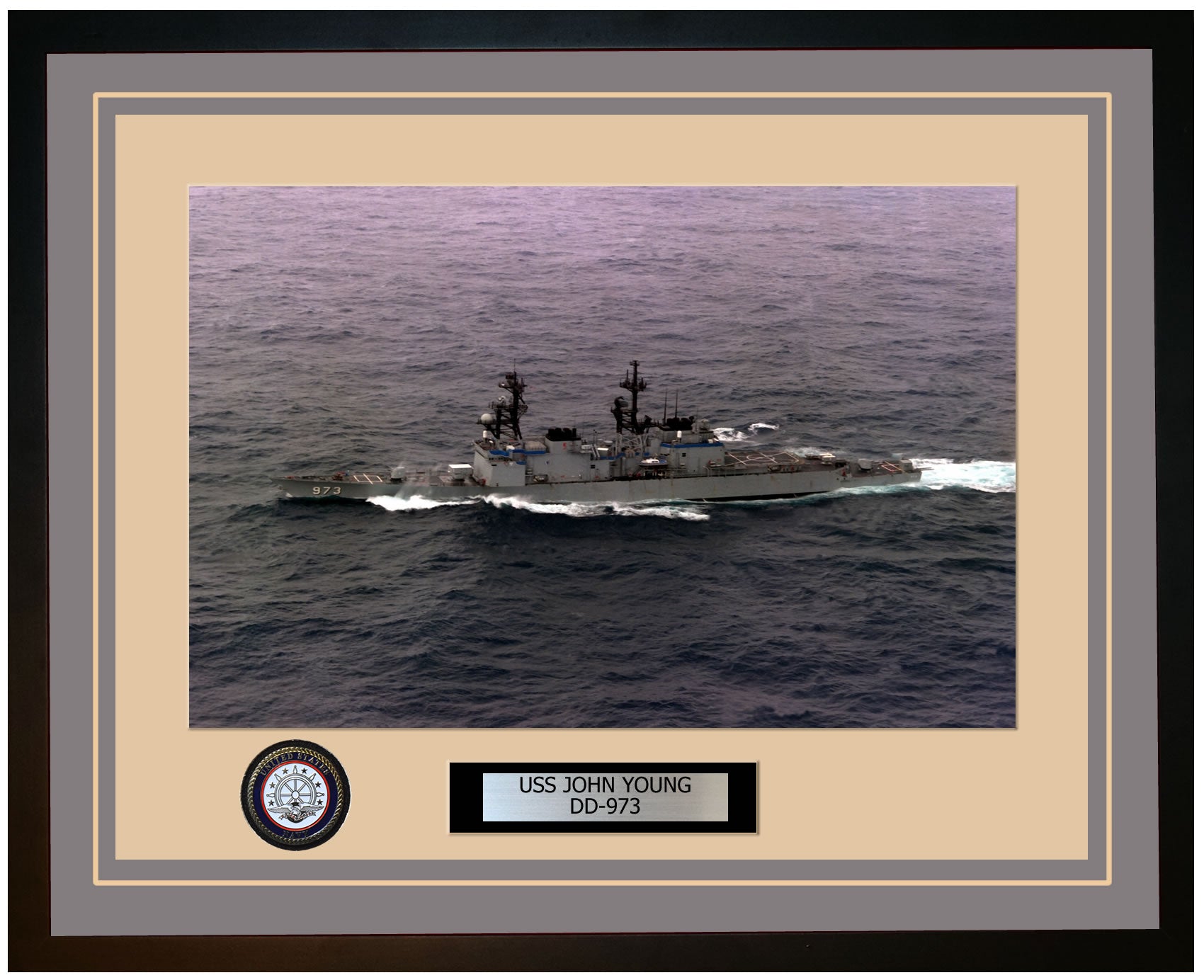 USS JOHN YOUNG DD-973 Framed Navy Ship Photo Grey