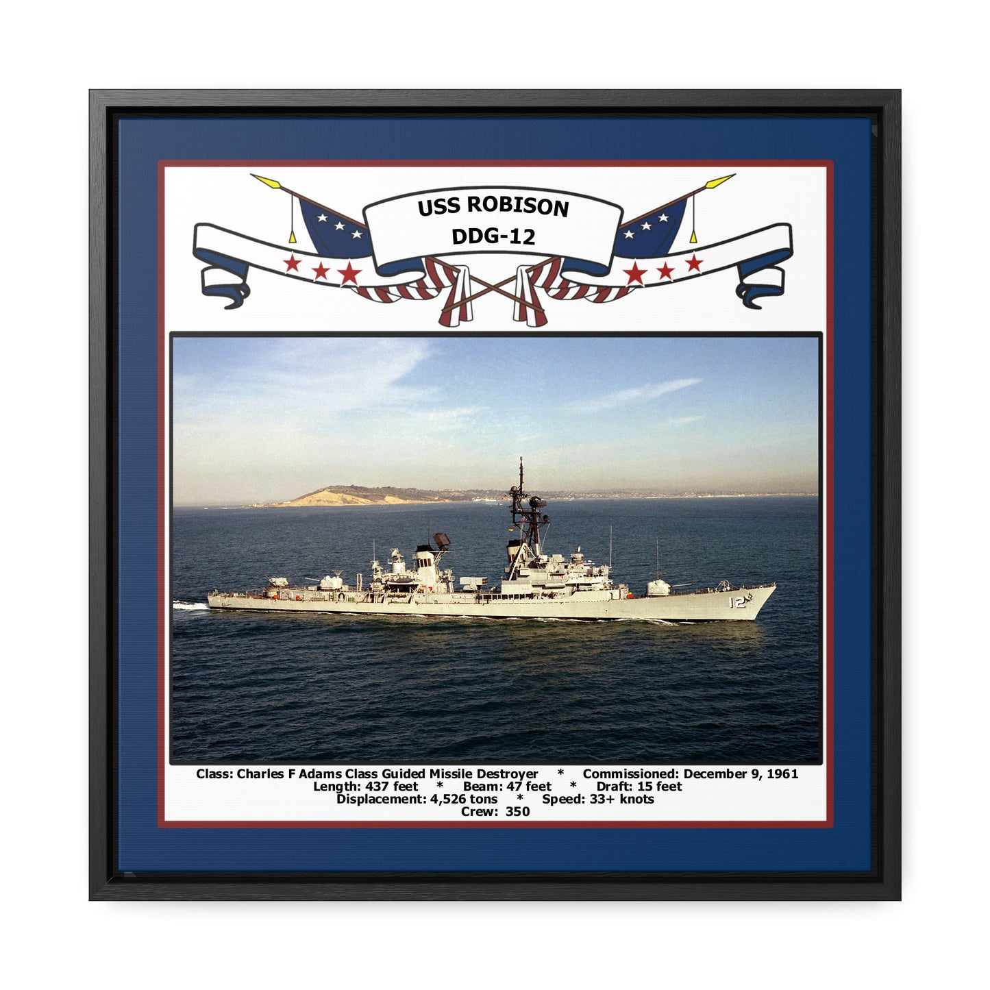 USS Robison DDG-12 Navy Floating Frame Photo Front View