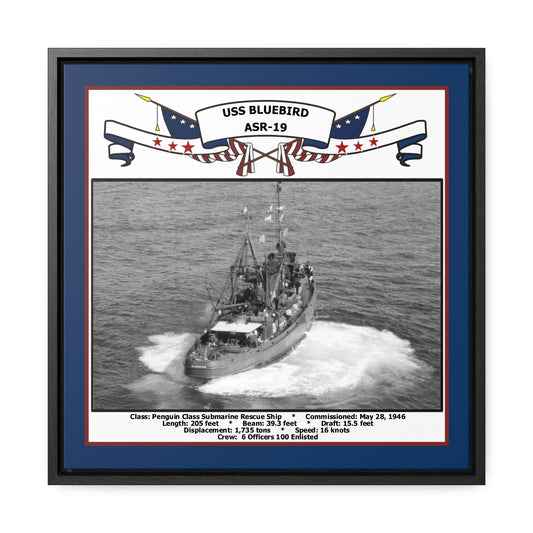 USS Bluebird ASR-19 Navy Floating Frame Photo Front View