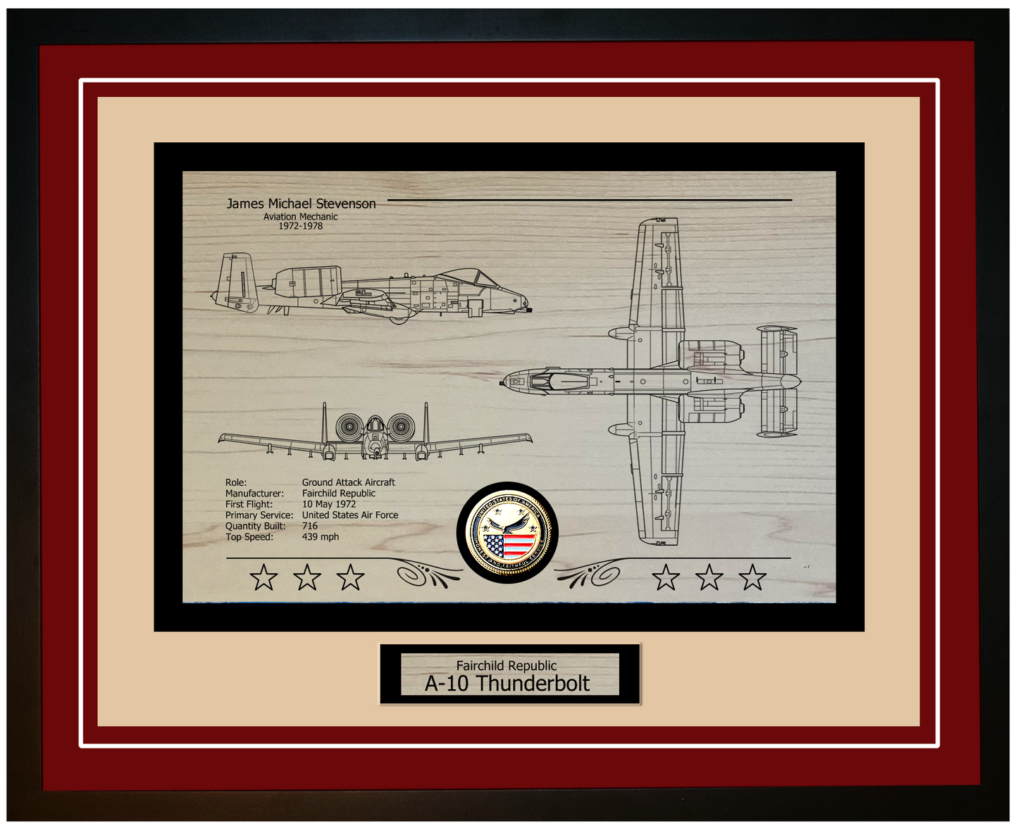 A-10 Thunderbolt Framed Aircraft Display