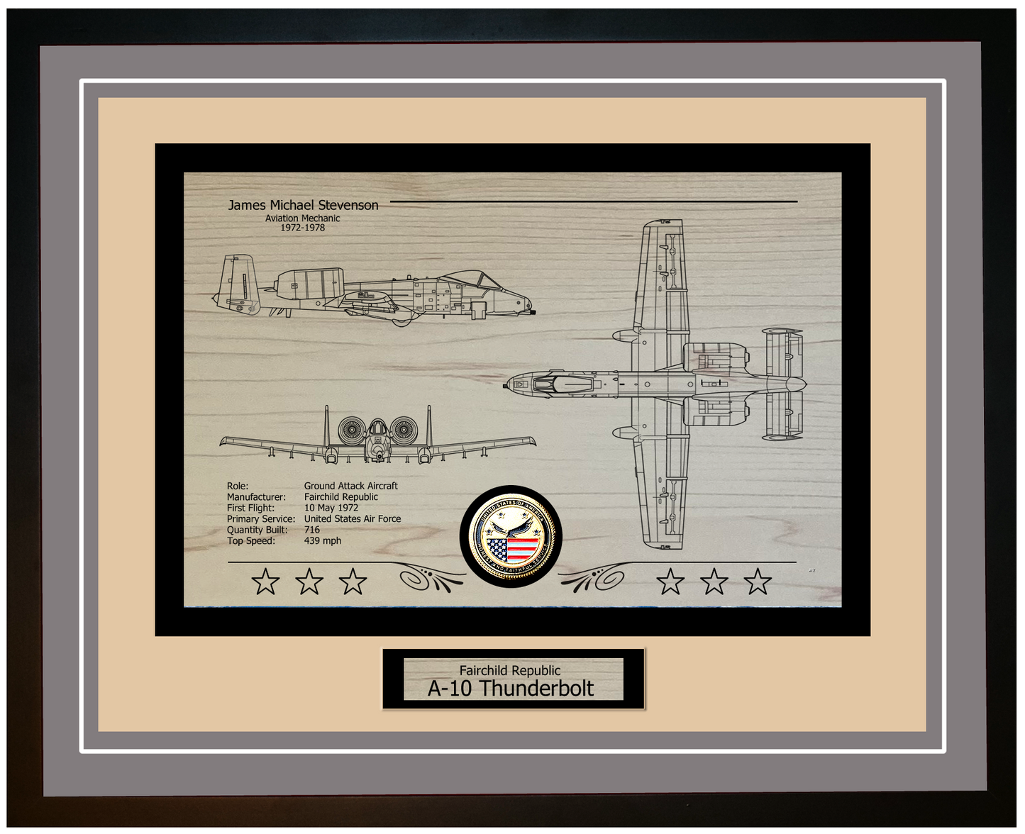 A-10 Thunderbolt Framed Aircraft Display