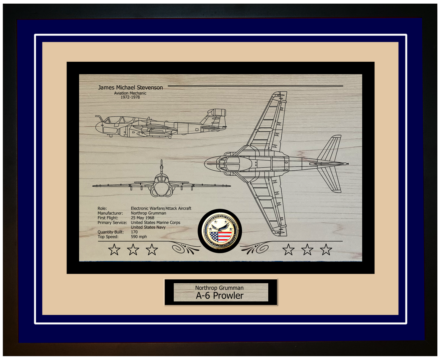 A-6 Prowler Framed Aircraft Display