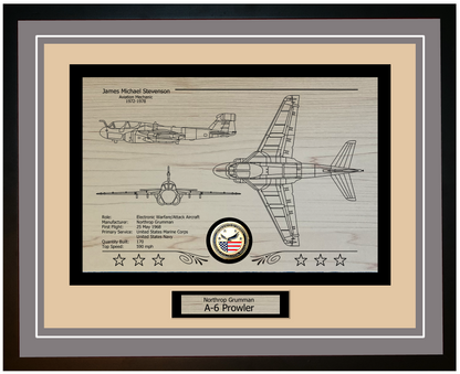 A-6 Prowler Framed Aircraft Display