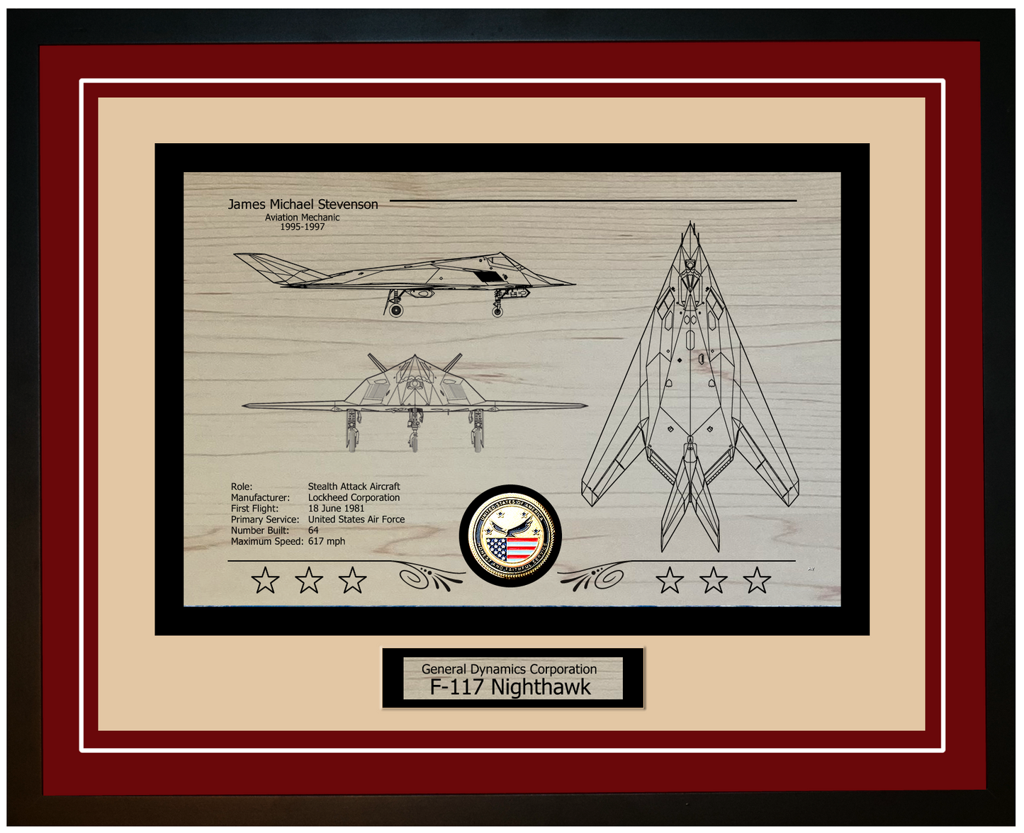 F-117 Nighthawk Framed Aircraft Display