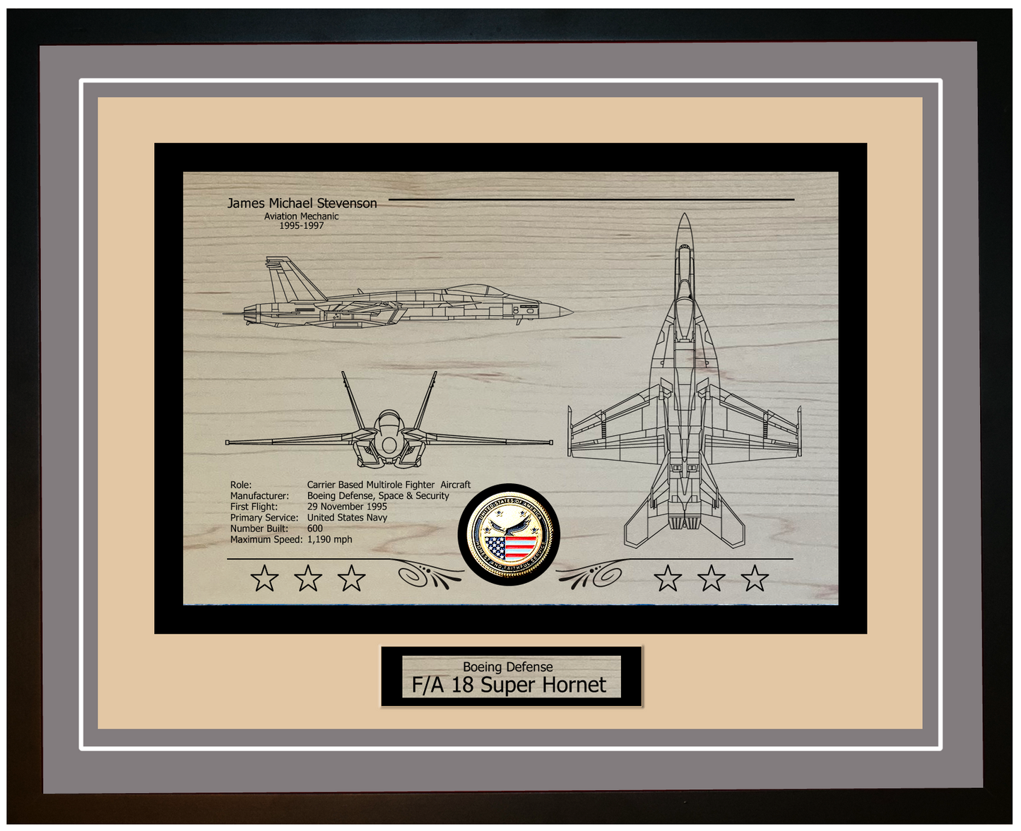 FA-18 Super-Hornet Framed Aircraft Display