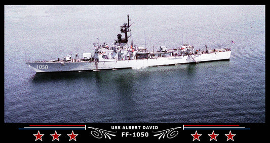 USS Albert David FF-1050 Art Print