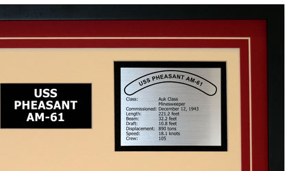 USS PHEASANT AM-61 Detailed Image B