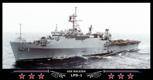 USS Raleigh LPD-1 Art Print