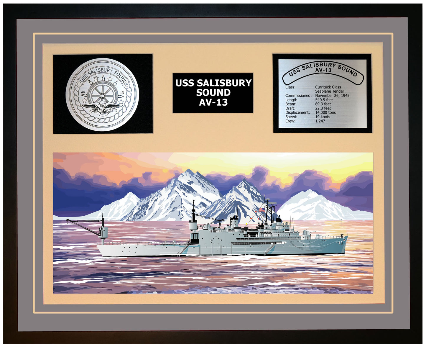 USS SALISBURY SOUND AV-13 Framed Navy Ship Display Grey
