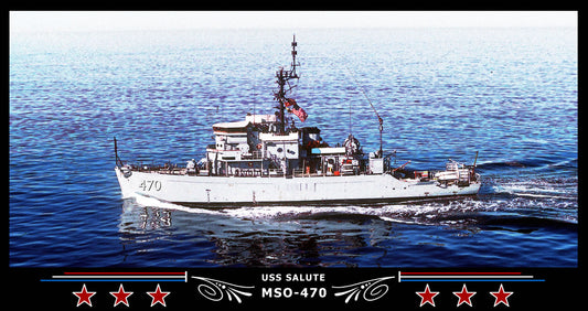 USS Salute MSO-470 Art Print
