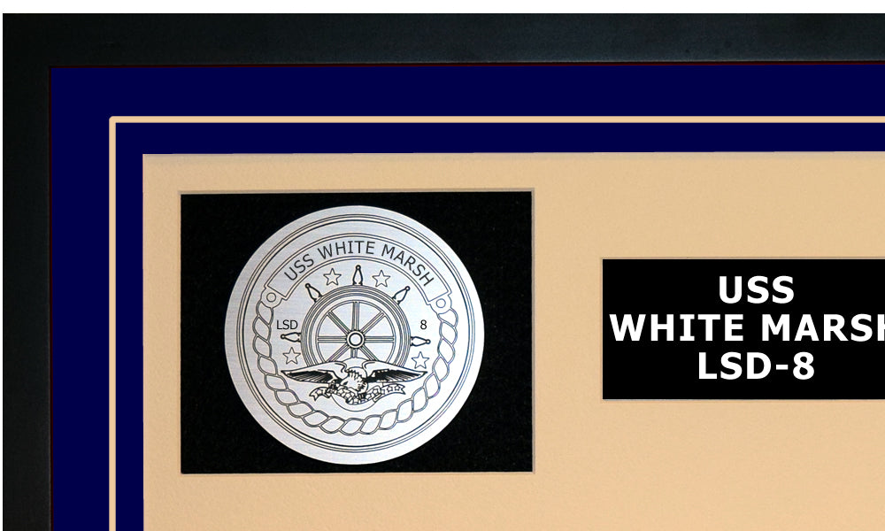 USS WHITE MARSH LSD-8 Detailed Image A